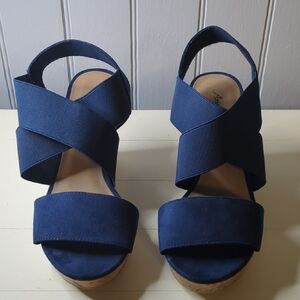 American Eagle Outfitters Navy Wedges Used Good Condition